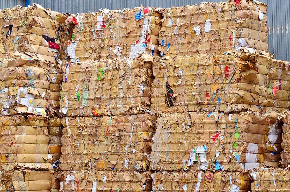 廢(fei)紙市(shi)場綜(zong)述：局(ju)部反(fan)彈與(yu)價格(ge)波動(dong)