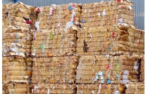 廢(fei)紙市(shi)場綜(zong)述：局(ju)部反(fan)彈與(yu)價格(ge)波動(dong)